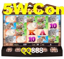 QQ888